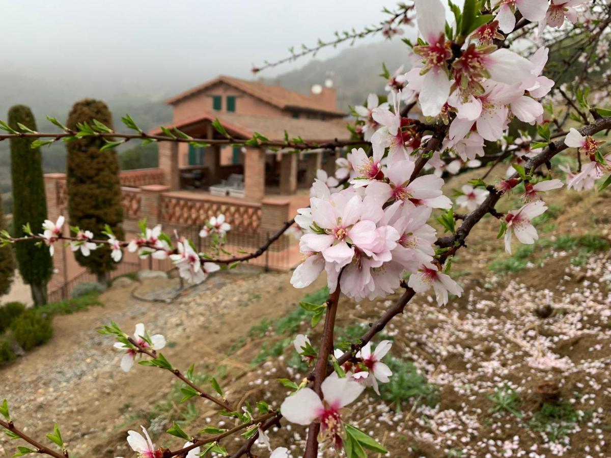 Can Ballus Bed&Breakfast Tiana Exteriér fotografie